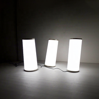 Panneau EL lumineux flexible de grande taille A2, de haute qualité, activé par le son, rétroéclairé, lumineux, découpable