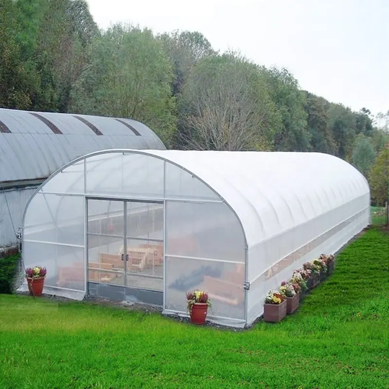 Agricultural Vertical Farming Singlespan Tunnel Greenhouse With Irrigation And Hydroponic Growing System