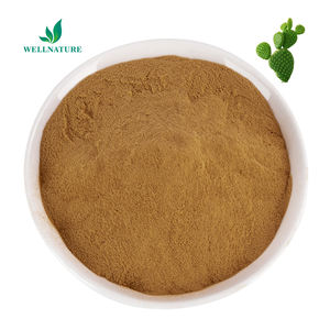 100% натуральный растительный экстракт, 6% калия, экстракт опунций, порошок - Product Image 1