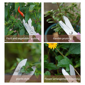 Ciseaux de jardinage en acier inoxydable à bord lisse, qualité DIY, avec poignée en PP, ciseaux laser pour greffage de plantes et élagage de fleurs - Product Image 4