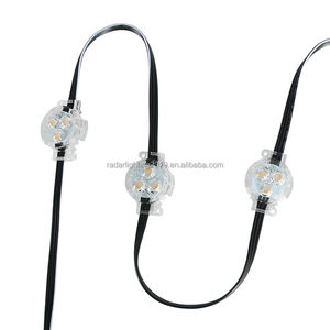 RGBW LED Outdoor <strong>Decorative</strong> Lighting Permanent Outdoor Led <strong>Christmas</strong> Lights House <strong>Decorating</strong> - Product Image 3