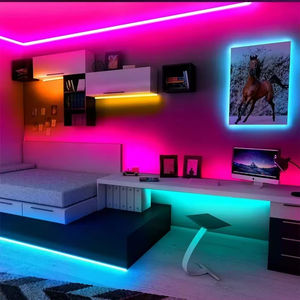 Tira de LED RGB COB 24v, Tira de LED RGB COB Regulable WS2811, Tira de LED RGB COB con Clasificación IP67, Tira de Luz LED para Paisajismo, Luces de Techo Programables de 12V - Product Image 2