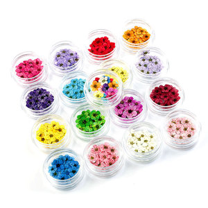 20pcs Natural <b>Dried</b> Flower Nail Stickers 17 Colors Japanese Style 3D Real <b>Petal</b> Decals for DIY Nail Decoration - Product Image 2