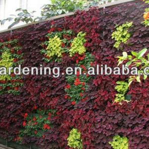 Jardinière murale verticale pour jardin suspendu, pot décoratif d'extérieur, pot de plantes pour mur végétal - Product Image 6