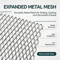 Malla Metálica Expandida Galvanizada, Lámina Metálica de Diamante para Construcción, Cercas de Seguridad, Rejilla para Plataformas, Personalizada