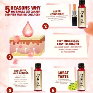 High Quality Fish Collagen Oral Liquid Drink High in Nutrients <b>Protein</b> Promote Skin Elasticity with Vitamin C & Nicotinamida - Product Image 5