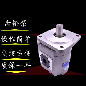 CBG-2080-BFP CBG2032/2040/2050/2063/2100 ปั๊มไฮดรอลิกเกียร์ - Product Image 3