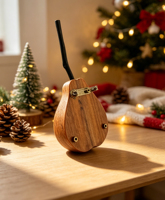 Broche interactive en bois Pomme-Poire, peinte à la main, avec œil mobile, broche cinétique, bijou d'art original fait main, vente en gros, cadeau
