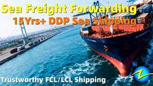 บริการขนส่งสินค้าทางทะเลแบบ DDP จากเซินเจิ้น อี้หวู่ ตงกวน ตัวแทนขนส่ง DHL UPS FedEx โลจิสติกส์ บริการส่งถึงหน้าประตู ทางทะเล ไปยัง บาตัม ดาวาโอ กวม - Product Image 2