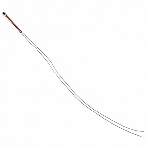 120-202EAJ-Q01 ซัพพลายเออร์เซ็นเซอร์โพรบ มีสินค้าในสต็อกจำนวนมาก เทอร์มิสเตอร์ NTC - Product Image 1