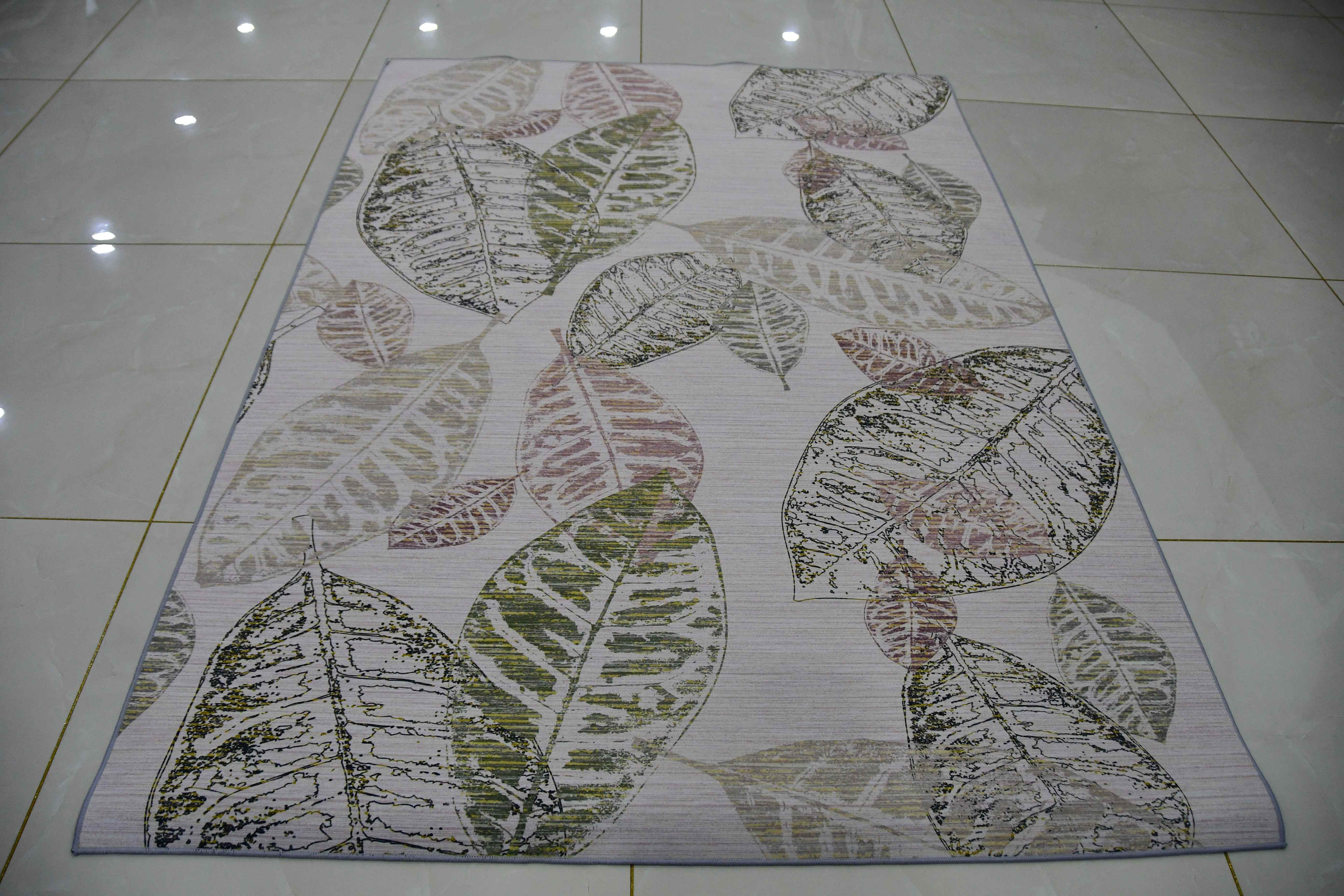 Comme l'image shows1