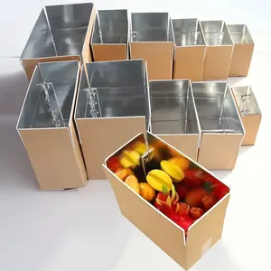 カスタマイズ可能な折りたたみ式ケータリング食品断熱輸送ボックスアルミホイルフォーム断熱配送ボックス