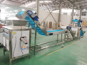 Dây Chuyền Sản Xuất Máy Bóc Vỏ Tỏi Tự Động Công Nghiệp - Product Image 5