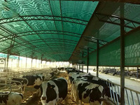 Filet pare-soleil HDPE résistant aux UV, robuste, écologique, imperméable et coupe-vent pour applications agricoles et de jardinage