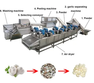 Máquina de descamação de alho, removedor de pele do alho, linha de produção, pasta de alho de gengibre