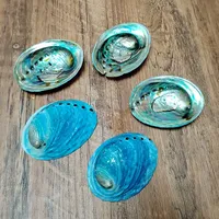 Coquilles d'ormeau naturelles ovales bleues, coquilles Paua Haliotis Iris, pour aménagement d'aquarium, décoration nautique DIY, support à bijoux, continentales