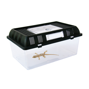Boîte d'élevage de reptiles, araignée, lézard Gecko, Hamster, serpent, tortue, coccinelle, étui Transparent pour animaux de compagnie - Product Image 2