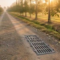Grille de drainage en fonte ductile pour allées de parcs à thème, système de drainage routier à fentes robuste