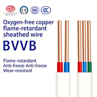 Câble plat en cuivre massif isolé et gainé PVC BVVB 10 AWG IP68 300V/500V, support OEM, directement de l'usine SZYL
