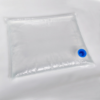 Sac aseptique BIB transparent en plastique avec valve verseuse pour vin, sirop, jus, pâte de fruits, liquide, lait – 3L, 5L, 10L