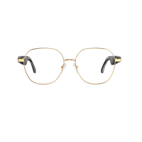 Lunettes Intelligentes W100B Style Affaires avec Traduction IA, Monture Métallique, Étanchéité IPX-5, Contrôle par Application pour Écouter de la Musique et la Voix