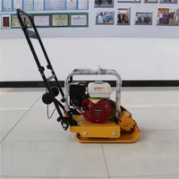 FPB-20 de compacteurs à plaques vibrantes Wacker de 85kg