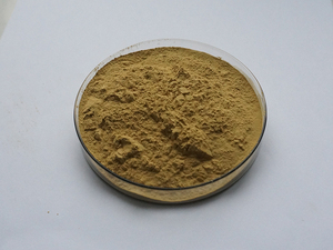 インセンサプライバナバ抽出物コロソリン酸粉末コロソリン酸 - Product Image 6