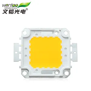 Epistar factory Price Golden Color 30W 50W 100W led chip Square Integrated COB LED Street Light Source