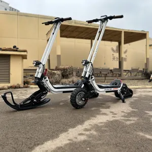La première trottinette électrique 3-en-1 pour rouler toute l'année G63 DIY Scooters à neige électriques puissants pour adultes
