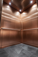 Ascenseur de villa sans engrenages MRL 320 kg pour résidence privée Lgeer Elevator