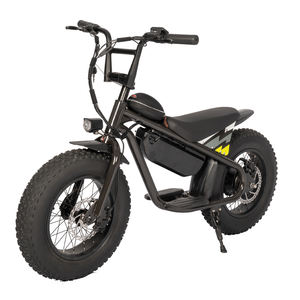 Vélo tout-terrain électrique 36V 350w 13Ah pour enfants Dirt Bike tout-terrain électrique Dirt Bike d'équilibre électrique pour enfants - Product Image 3