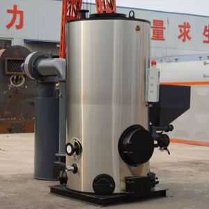 Экологически чистый автоматический промышленный энергосберегающий небольшой парогенератор из биомассы Дровяной Котел - Product Image 2