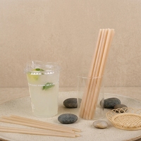 Pailles à boire jetables en agave, compostables, écologiques, biodégradables, imperméables, lavables au lave-vaisselle, légères, pour les fêtes