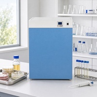 Incubateur à Température Constante pour la Culture Microbienne, la Fermentation, les Laboratoires Médicaux et Pharmaceutiques, Incubateur à Chauffage Électrique