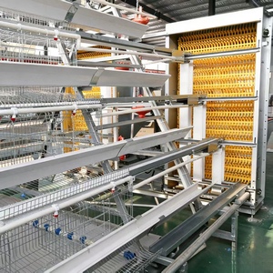 बड़ी क्षमता बहु-परत चिकन बैटरी पिंजरे विशेष रूप से डिजाइन किए गए प्रजनन फार्म के लिए उपयुक्त हैं। - Product Image 4