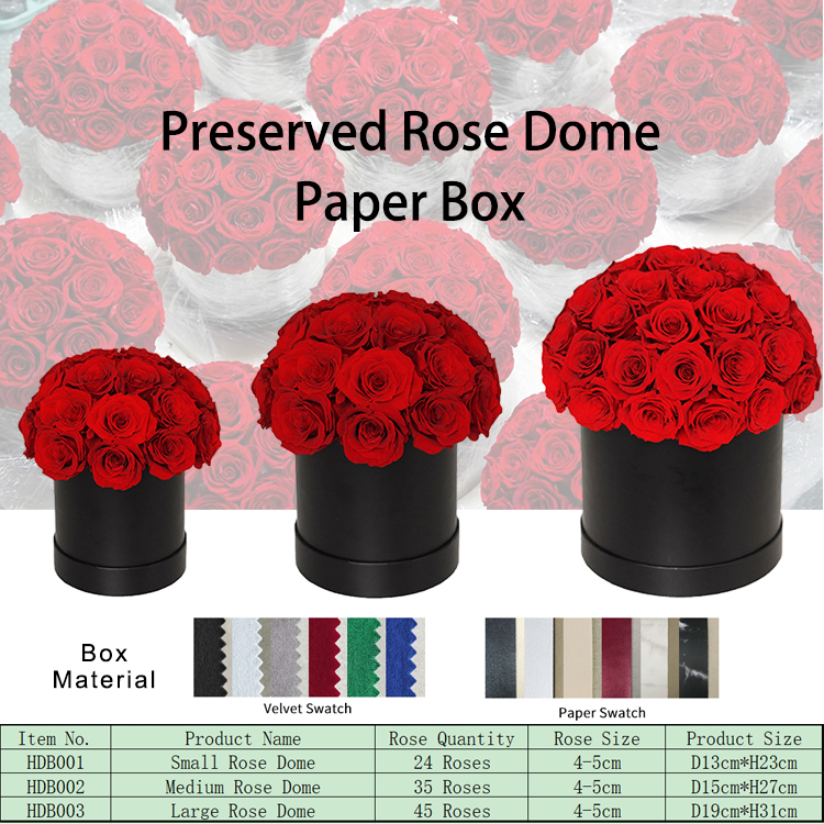 Rose dans la boîte de dôme