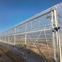 Serre commerciale intelligente à simple portée pour la culture de tomates, serre en polycarbonate