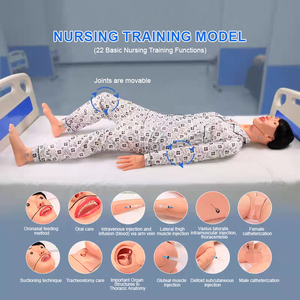 Mannequin d'infirmier masculin ADA H130A à fonctions complètes - Modèle médical anatomique en PVC pour l'enseignement des étudiants - Product Image 4