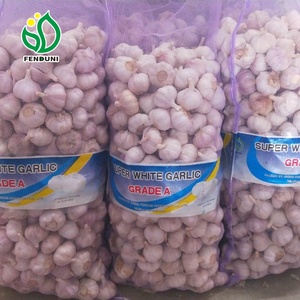 China ajo fresco cita para <span class=keywords><strong>macedonia</strong></span> - Product Image 3