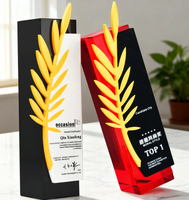 Ensemble de trophées et de médailles en cristal |   Récompenses Créatives Haut de Gamme pour les Compétitions de Champions et les Cérémonies d'Anniversaire d'Entreprise
