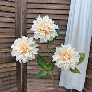YOPIN-2844 Champagne 3 Têtes de Dahlias Géants Artificiels en Soie pour Décoration Florale Maison et Mariage - Product Image 4