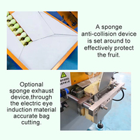 Machine d'emballage verticale multifonctionnelle et durable pour fruits sous film plastique, scellage automatique pour aliments (citron, fruit de la passion, pomme)
