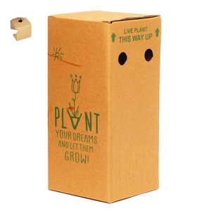 Eco Friendly Recyclable Paperboard <b>Boxes</b> with Flexo Printed Agriculture Packaging Custom Printed OEM Wholesale Export <b>Pack</b> - Product Image 1