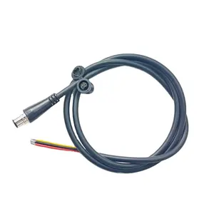 Placcato in oro 5A ad alta <span class=keywords><strong>corrente</strong></span> 3pin <span class=keywords><strong>maschio</strong></span> femmina <span class=keywords><strong>presa</strong></span> Jack specializzata per la cassa batteria DP-5 DP-9 DP-6 - Product Image 1