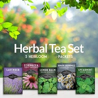Kit de plantes de jardin en sachet de thé aux 5 herbes biologiques naturelles pour la plantation de thé à domicile, complémenté pour la culture du thé
