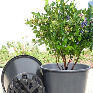 Vente en gros pots de pépinière carrés en plastique pour bleuets pots de fleurs pour serre jardinières jardinières d'extérieur - Product Image 1