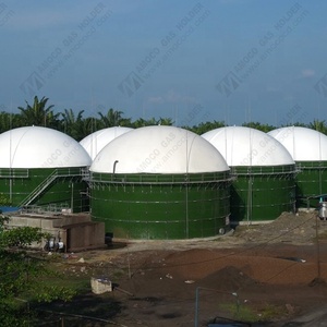 Biogaz digestore tetto montato su biogas impianto Rifiuti digestore per Fabbrica di Olio di Palma - Product Image 1