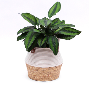 Encargo al por mayor Decoración <span class=keywords><strong>de</strong></span> casa ronda tejida <span class=keywords><strong>a</strong></span> mano yute Flor <span class=keywords><strong>de</strong></span> algas marinas <span class=keywords><strong>de</strong></span> cuerda <span class=keywords><strong>de</strong></span> algodón planta cesta - Product Image 2