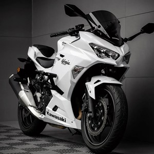 Moto sportive sans marque homologuée pour la route, sans balais, <span class=keywords><strong>Kawasaki</strong></span> Ninja 400cc, pour adulte, Horizon Z Race, système de carburant, >180km/h - Product Image 1