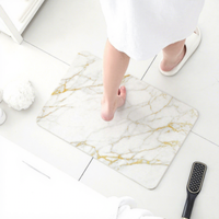 Tapis de sol carré en diatomite de luxe, absorbant l'eau et à séchage rapide, imprimé, pour salle de bain, toilettes, cuisine, entrée, porte